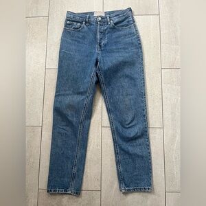 Everlane Classic Blue Denim Jeans